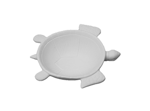 Turtle Dish