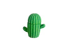 Load image into Gallery viewer, Cactus Box
