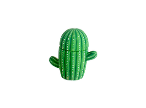 Cactus Box