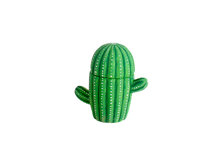 Cactus Box